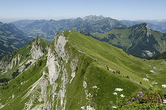 Hikers on a steep green mountain ridge with alpine views