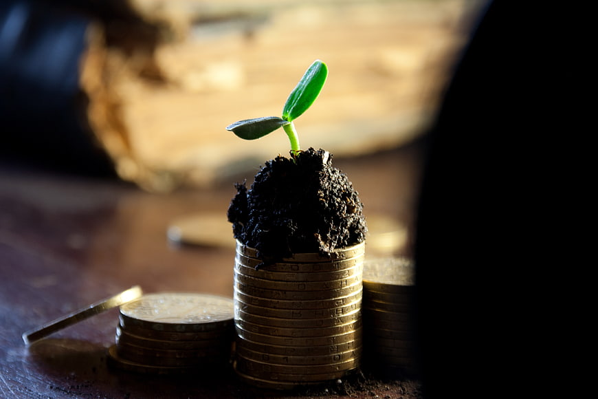 Green plant sprout growing from stack of gold coins