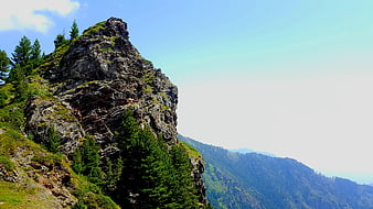 Rugged Rocky Mountain Peak with Green Grass and Pine Trees