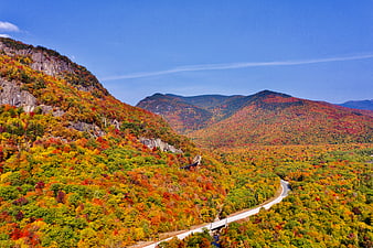 Aerial View of Winding Road Through Vibrant Autumn Mountains