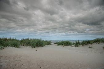Sandy dunes with grass leading to the sea under cloudy sky