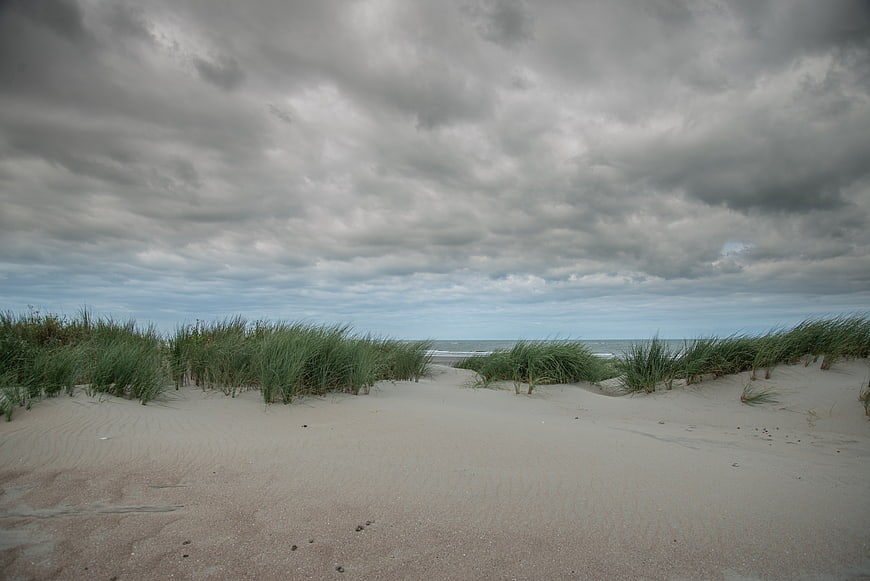 Sandy dunes with grass leading to the sea under cloudy sky