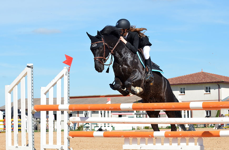 Black horse and rider jumping obstacle in equestrian show jumping competition