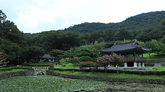 Traditional Korean Pavilion and Pond in Lush Garden