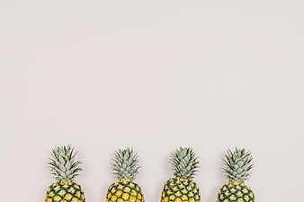 Row of pineapples on white background with copyspace