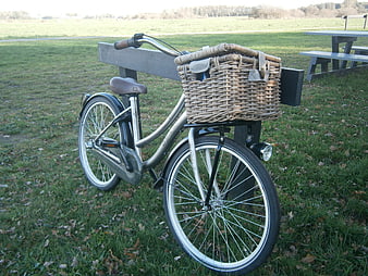 Silver Dutch bicycle with wicker basket in park