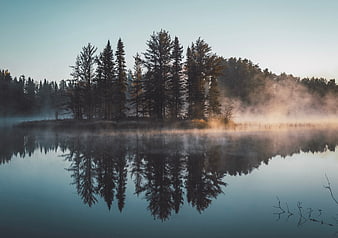 Serene Lake with Misty Pine Trees and Reflections