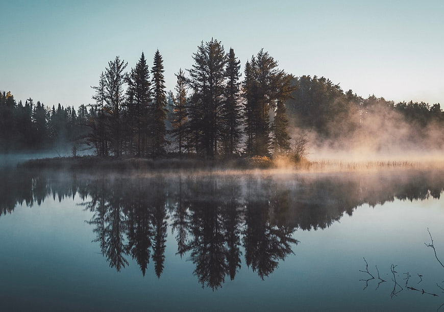 Serene Lake with Misty Pine Trees and Reflections