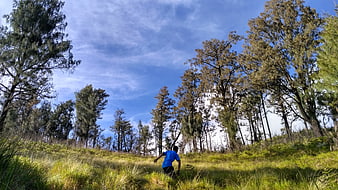 Man running uphill through grassy forest landscape