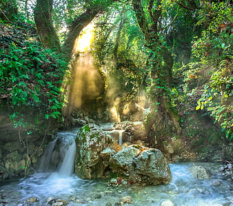 Sunbeams illuminating a lush forest stream with mossy rocks and waterfalls