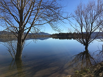 Serene Lake with Bare Trees and Mountain Reflections
