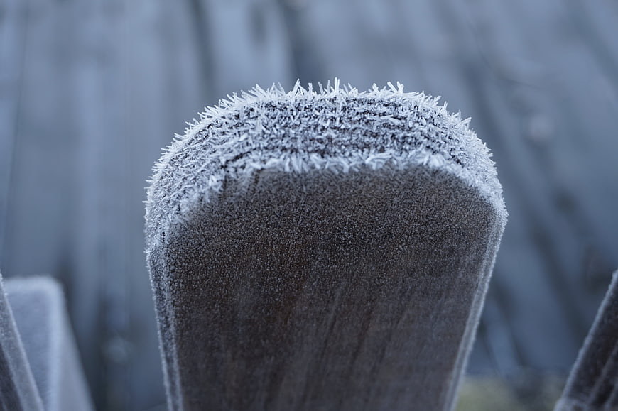 Close-up of frost-covered wooden fence post in winter