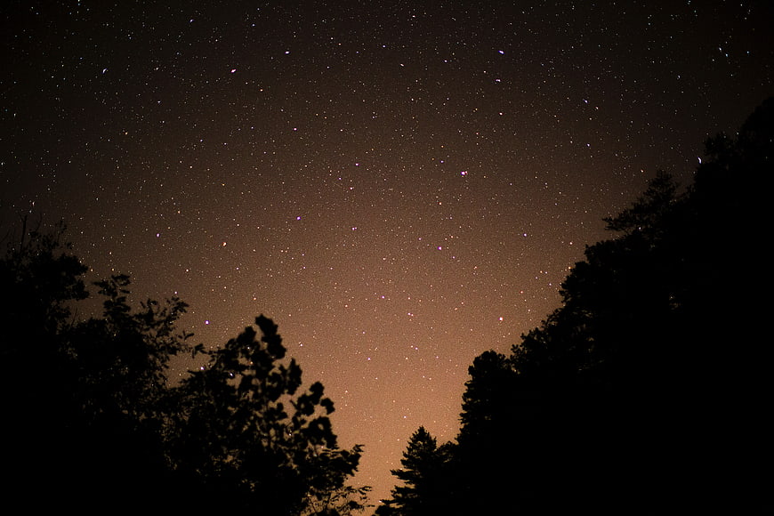 Starry night sky with tree silhouettes