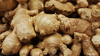 Close-up of fresh raw ginger root pile