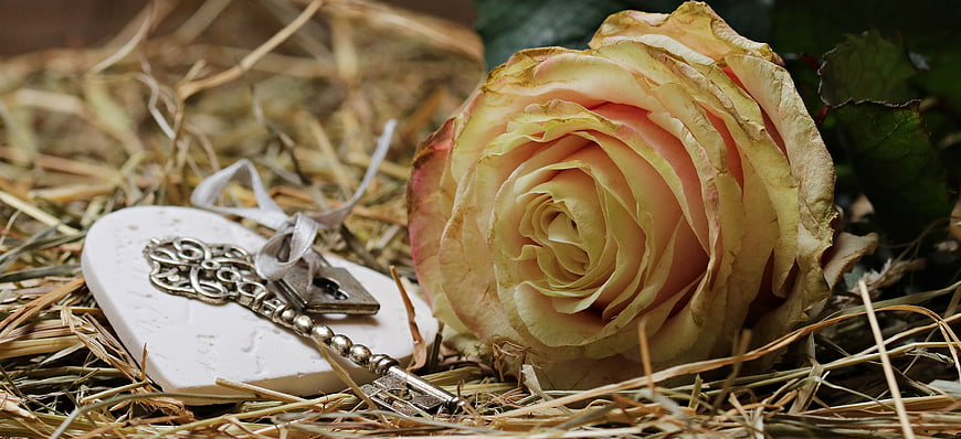 Dried Rose and Antique Key on Straw