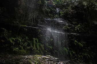 Misty waterfall cascading through lush green ferns in a dark forest