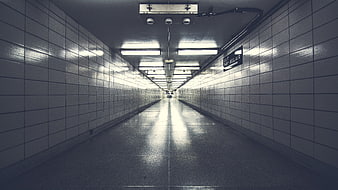 Empty tiled subway tunnel with fluorescent lights
