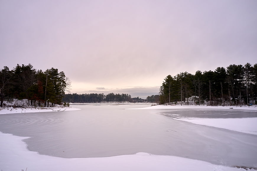 Serene Frozen Lake Landscape with Snow and Pine Trees