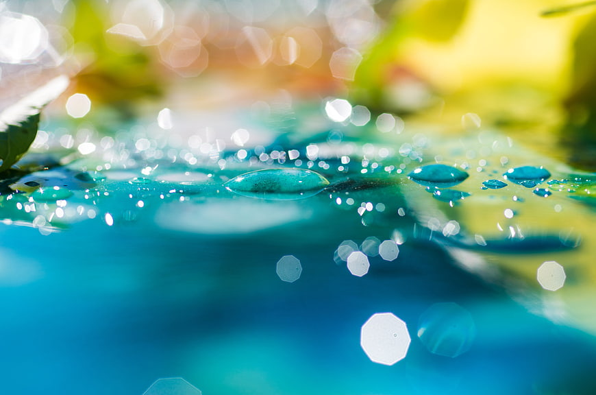 Macro water droplets on leaf with bokeh background