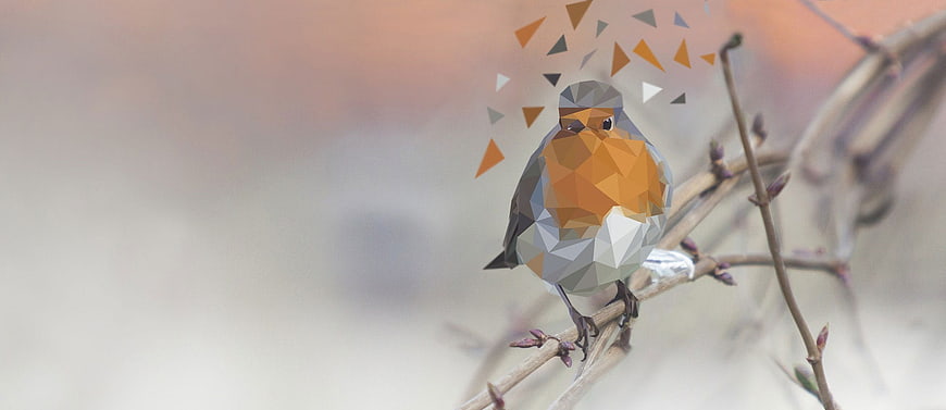 Low Poly Robin Bird on Branch with Geometric Art