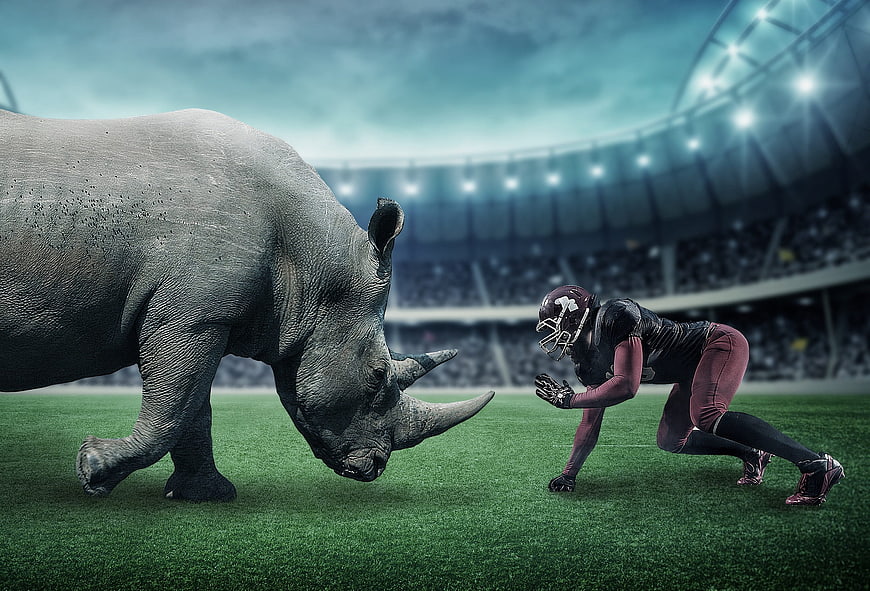 American football player facing rhinoceros in stadium