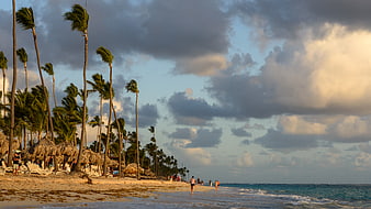 Tropical beach sunset with palm trees and dramatic clouds