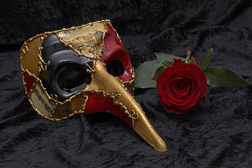 Venetian plague doctor mask with red rose on black velvet