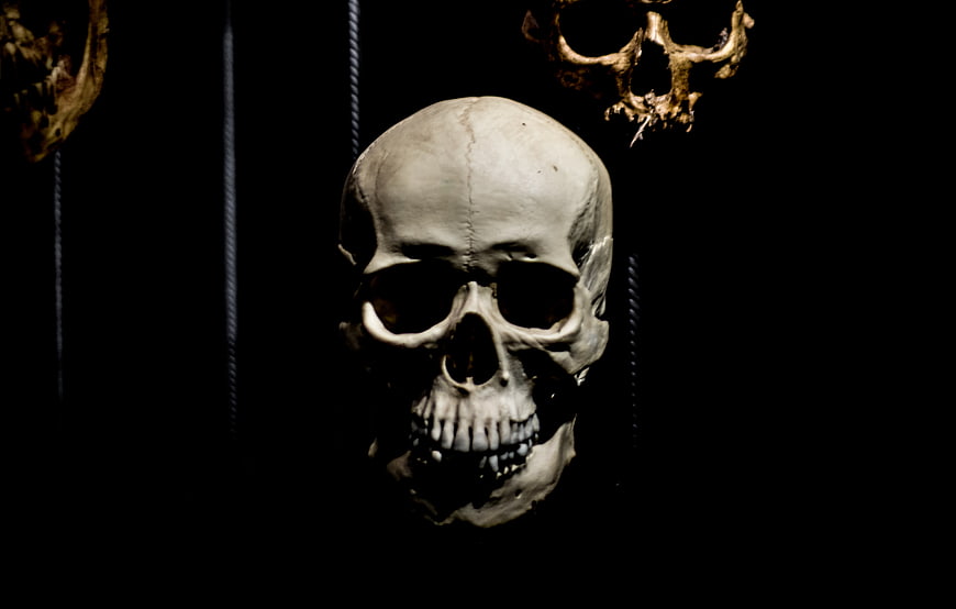 Hanging human skull on black background with ropes