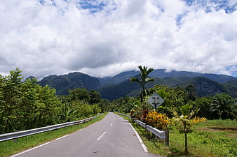 Winding asphalt road through lush tropical mountains and jungle