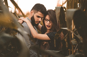 Romantic couple embracing in a cornfield at sunset