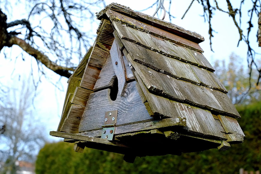 Weathered Wooden Birdhouse Hanging in Tree Branches