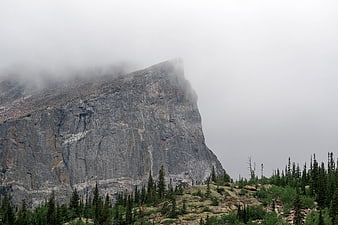 Misty mountain peak with rocky cliff and pine forest