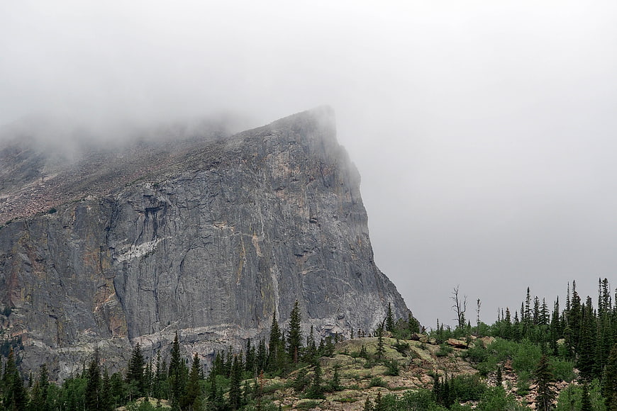 Misty mountain peak with rocky cliff and pine forest