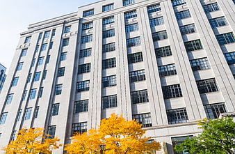 Modern Office Building Facade with Autumn Trees