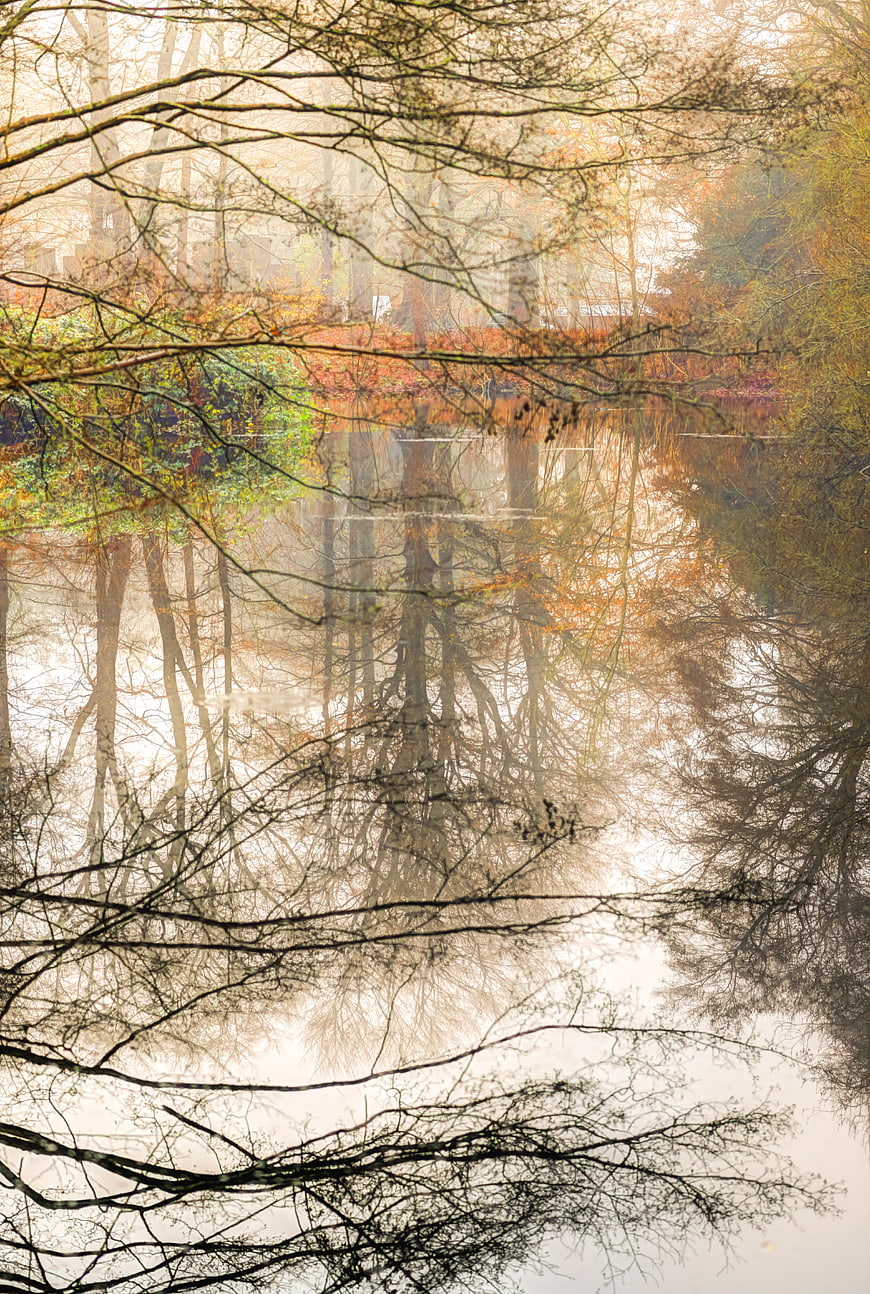 Serene Autumn Pond Reflection in Misty Forest