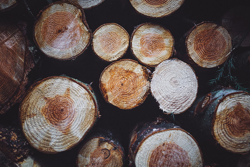 Top View of Stacked Firewood Logs with Tree Rings