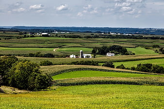 Rolling Green Farmland with Farmhouse and Silo