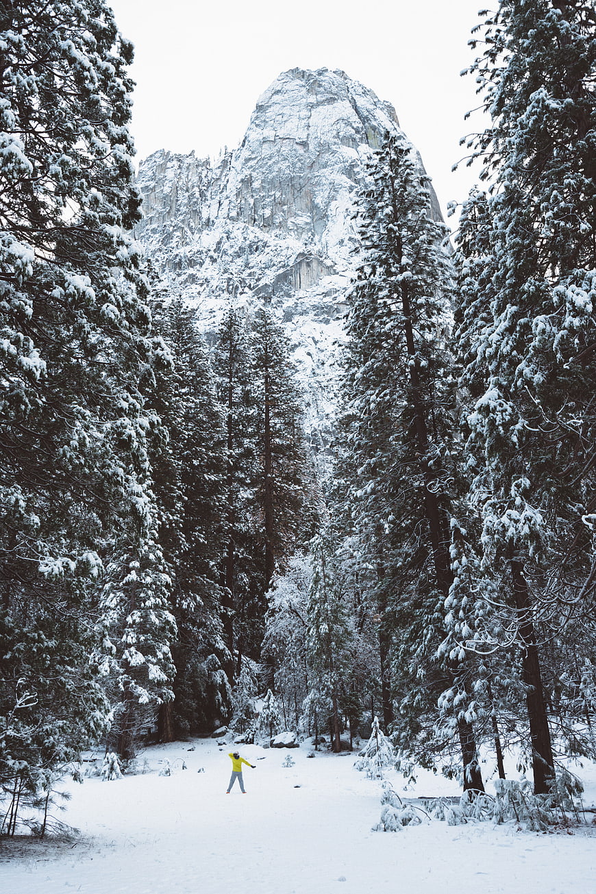 Person in Yellow Jacket Standing in Snowy Forest with Mountain