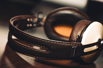 Close-up of Sennheiser headphones with leather headband