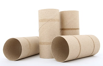 Empty cardboard toilet paper rolls arranged on white background