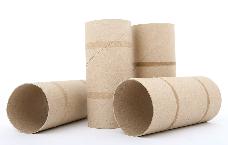 Empty cardboard toilet paper rolls arranged on white background