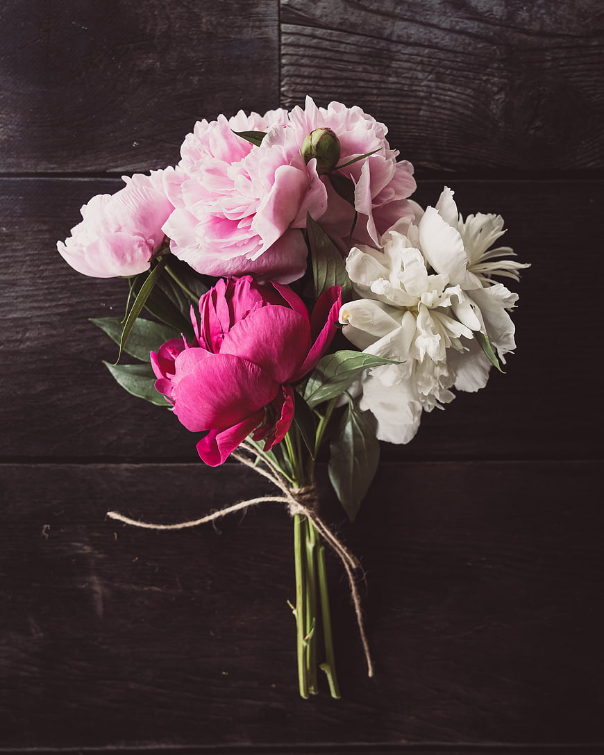 Rustic Peony Bouquet on Dark Wood Background