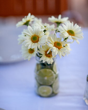 White daisies in glass vase with lime slices on table
