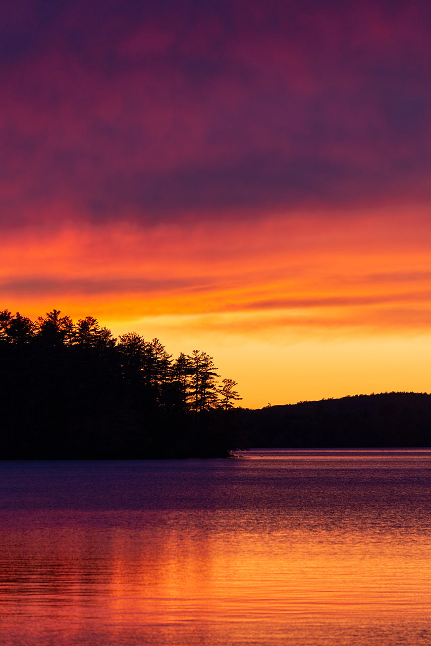 Vibrant Sunset Over Lake with Silhouetted Trees
