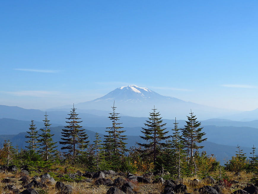 Snow-Capped Mountain View Through Pine Trees