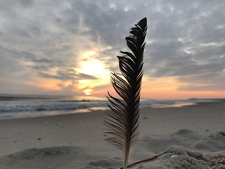 Silhouette of a feather on sandy beach at sunset
