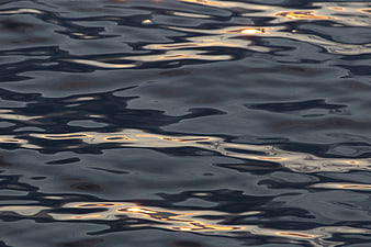 Abstract dark water ripples with golden sunlight reflections