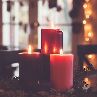 Three lit red candles with festive greenery and bokeh lights