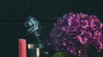 Extinguished Pink Candle with Smoke and Purple Hydrangea