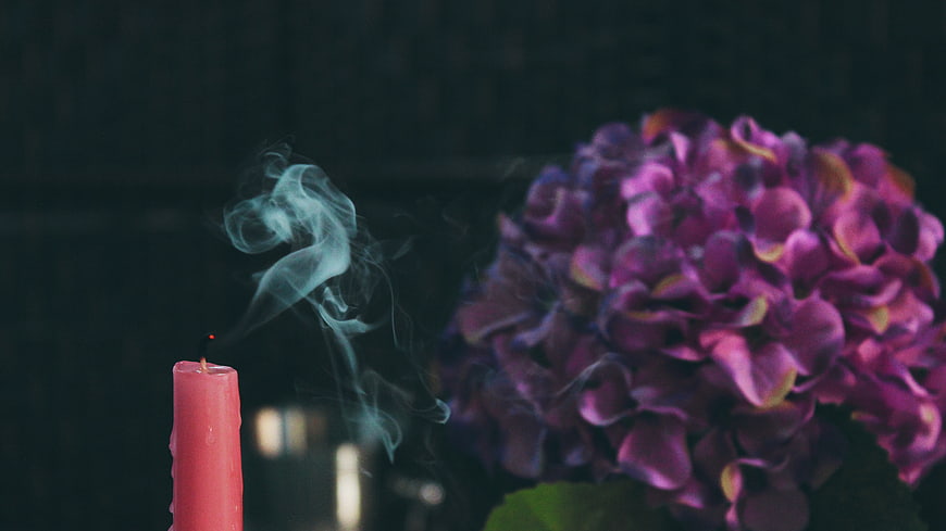 Extinguished Pink Candle with Smoke and Purple Hydrangea